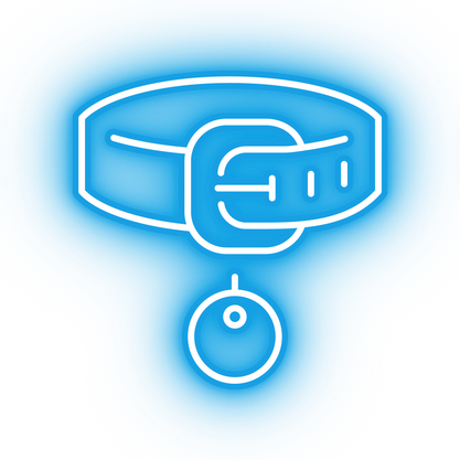 Neon blue dog collar icon