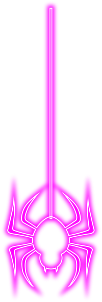 Halloween Spider Illustration